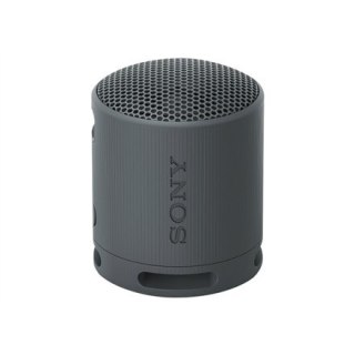 Sony Srs-Xb100 - Wireless