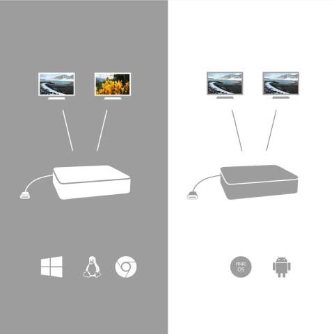 I-tec C31DUAL4KHDMI zewnętrzna karta graficzna usb 3840 x 2160 px Czarny