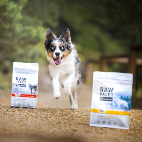 VetExpert Raw Paleo Ultra Indyk Medium&Large Puppy 2kg