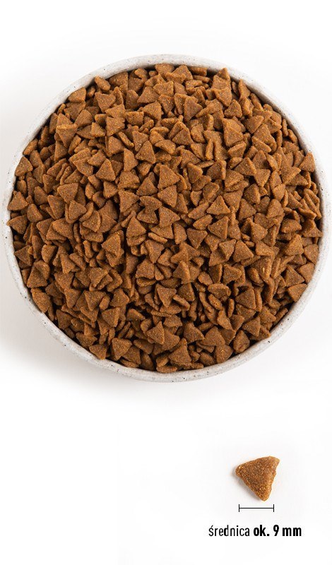 ACANA Indoor entrée cat 1.8kg