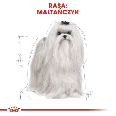 ROYAL CANIN Maltese 0,5kg