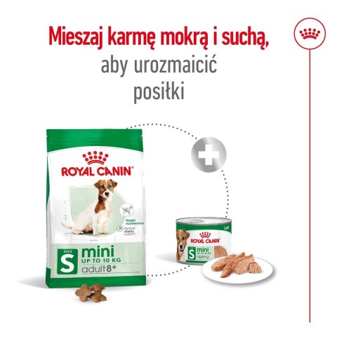 ROYAL CANIN SHN Mini Adult 8+ - sucha karma dla psa dorosłego - 8kg