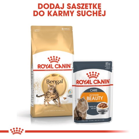 ROYAL CANIN Bengal Adult - sucha karma dla dorosłego kota - 10 kg