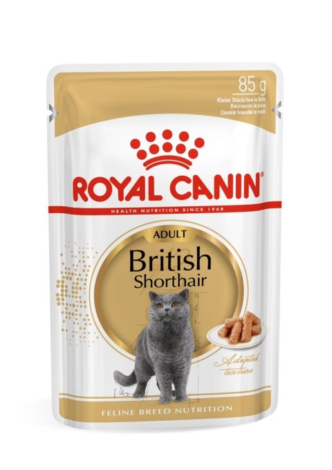 ROYAL CANIN British Shorthair pakiet 12x85g