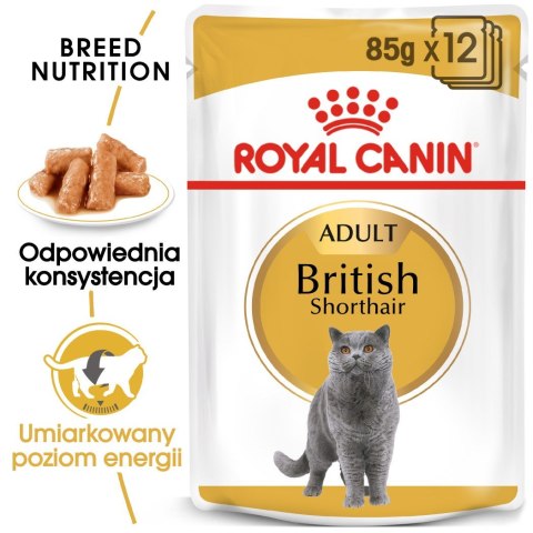 ROYAL CANIN British Shorthair pakiet 12x85g