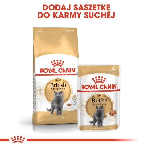 ROYAL CANIN British Shorthair pakiet 12x85g