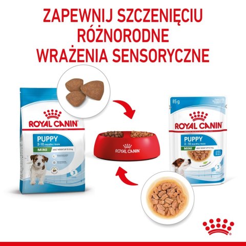 ROYAL CANIN SHN Mini Puppy w sosie - mokra karma dla szczeniąt - 12X85g