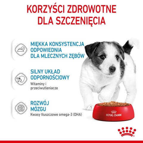 ROYAL CANIN SHN Mini Puppy w sosie - mokra karma dla szczeniąt - 12X85g