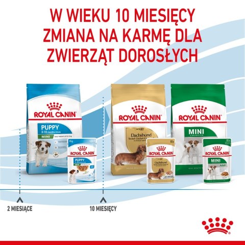 ROYAL CANIN SHN Mini Puppy w sosie - mokra karma dla szczeniąt - 12X85g