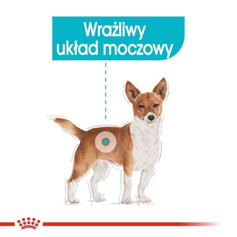 Royal Canin CCN Urinary Care Loaf - mokra karma dla psa dorosłego - 12x85g