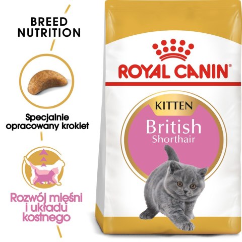 Royal Canin FBN British Shorthair Kitten - sucha karma dla kociąt - 2 kg