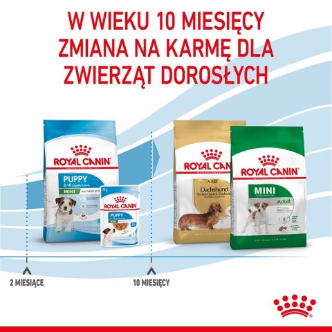 Royal Canin SHN Mini Puppy - sucha karma dla szczeniąt - 4kg