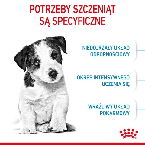 Royal Canin SHN Mini Puppy - sucha karma dla szczeniąt - 4kg