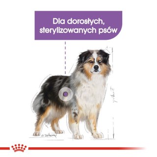 Karma Royal Canin SHN Medium Sterilised Ad (3 kg )