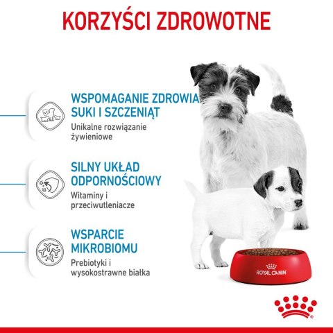 Royal Canin SHN Mini Starter M&B 4kg