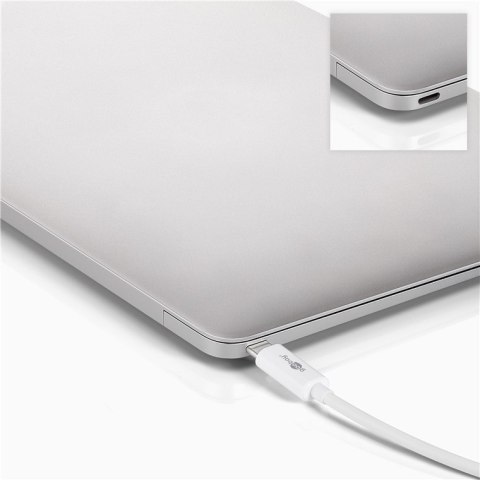 Goobay 62104 stacja dokująca USB Type-C Biały