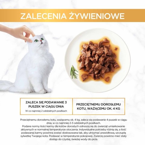 Gourmet Gold Sauce Delight mokra karma dla kota z wołowiną 85g