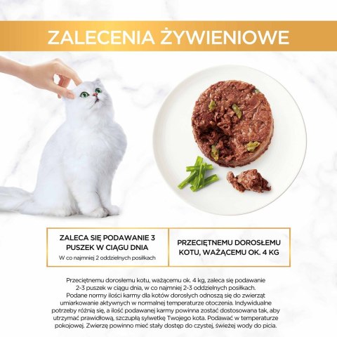 Gourmet Gold Savoury Cake mokra karma dla kota z jagnięcina i zieloną fasolą 85g