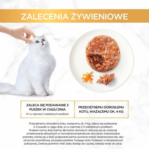 Gourmet Gold Savoury Cake mokra karma dla kota z kurczakiem i marchewką 85g