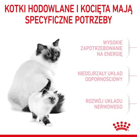 Karma Royal Canin Mother & Babycat (4 kg )