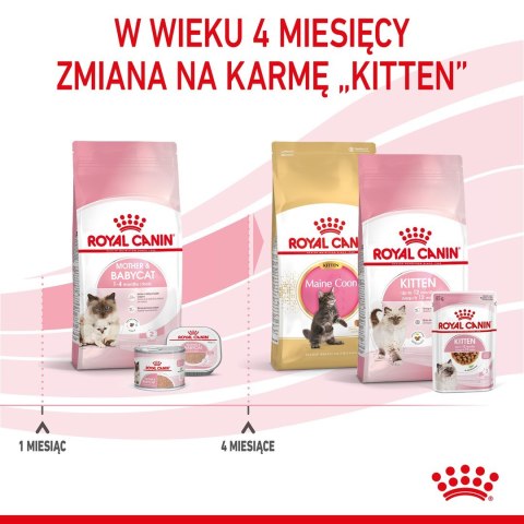 Karma Royal Canin Mother & Babycat (4 kg )