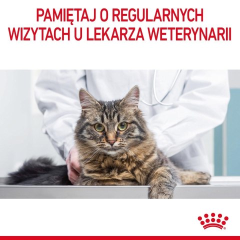 ROYAL CANIN FCN Light Weight Care w galaretce - mokra karma dla kota dorosłego - 12x85g