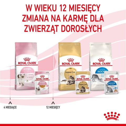 Royal Canin FHN Kitten Instinctive w sosie - mokra karma dla kociąt - 12x85g