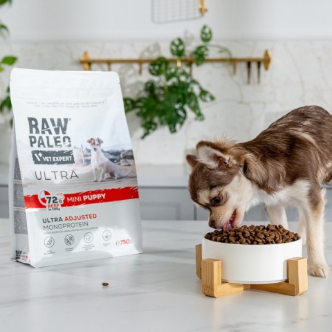 VetExpert Raw Paleo Ultra Wołowina Mini Puppy 750g