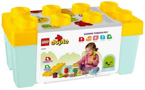 LEGO DUPLO My First 10984 Ogród uprawowy