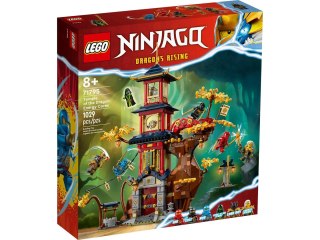 LEGO NINJAGO 71795 Świątynia smoczej energii