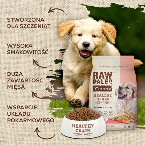 VetExpert Raw Paleo Healthy Grain Salmon&Barley Puppy - Karma sucha dla psów - 2kg