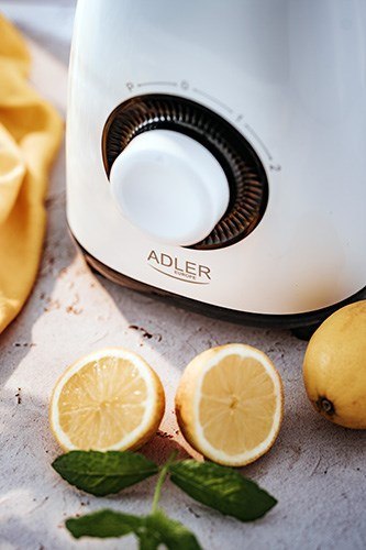 Adler AD 4085 Blender kielichowy 1,5L