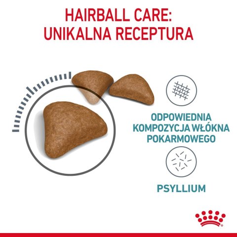 ROYAL CANIN FCN Hairball Care - sucha karma dla kota dorosłego - 10 kg