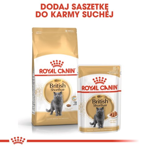 Royal Canin FBN British Shorthair Adult - sucha karma dla kota dorosłego - 10kg