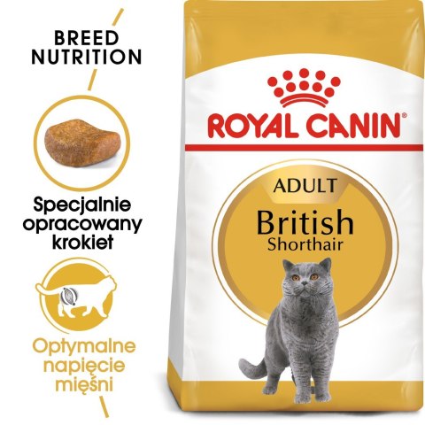 Royal Canin FBN British Shorthair Adult - sucha karma dla kota dorosłego - 10kg