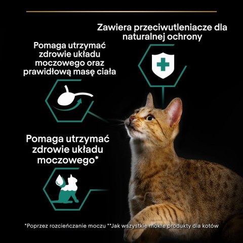 PURINA PRO PLAN STERILISED Wołowina 85g