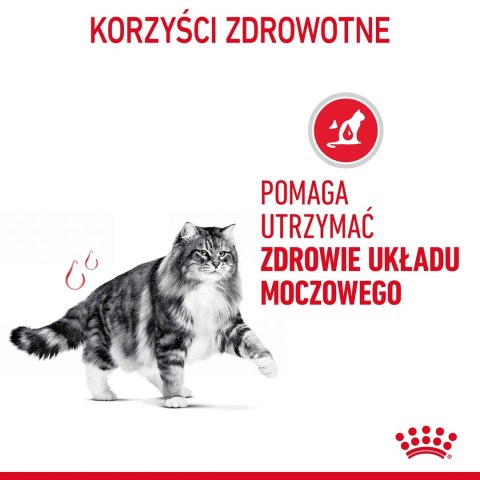 ROYAL CANIN FCN Urinary Care - sucha karma dla kota dorosłego - 10 kg