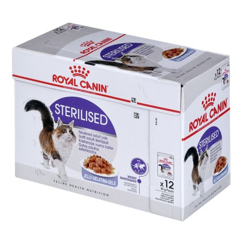 Royal Canin FHN Sterilised w galaretce - mokra karma dla kota dorosłego - 12x85g