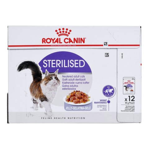 Royal Canin FHN Sterilised w galaretce - mokra karma dla kota dorosłego - 12x85g