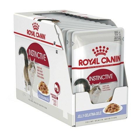 Royal Canin FHN Instinctive w galaretce - mokra karma dla kota dorosłego - 12x85g