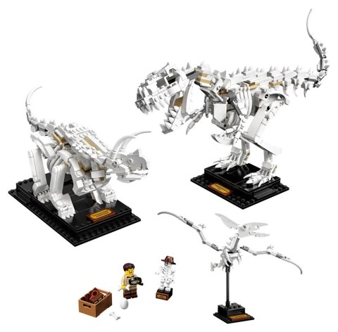 LEGO 21320 Ideas Szkielety dinozaurów