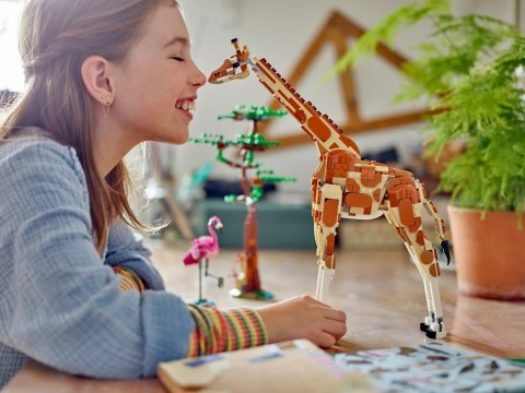 LEGO Creator 31150 Dzikie zwierzęta z safari