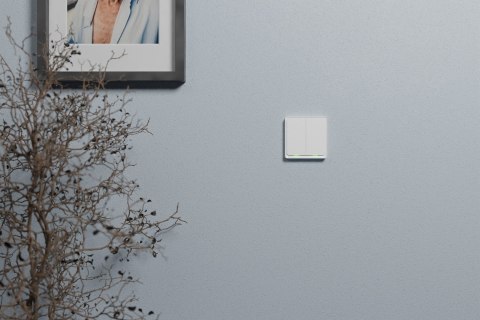 Włącznik podwójny TESLA TSL-SWI-ZIGBEE2 Smart Switch Dual ZigBee