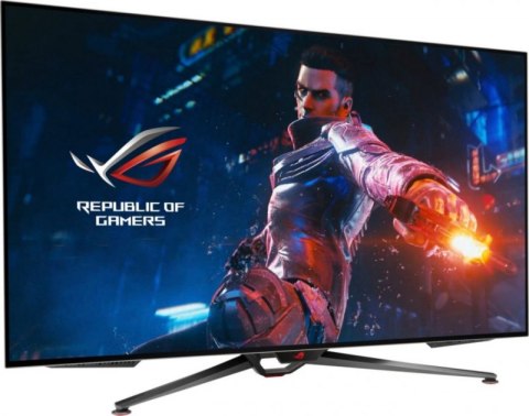 Monitor ASUS PG48UQ (47.5" /OLED /138Hz /3840 x 2160 /Czarny)