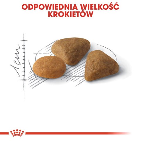 ROYAL CANIN FHN Exigent Savour Sensation - sucha karma dla kota dorosłego - 4kg