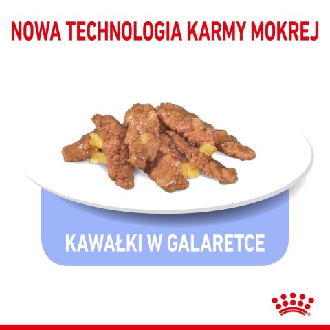 ROYAL CANIN FHN Indoor w galaretce - mokra karma dla kota dorosłego - 12x85g