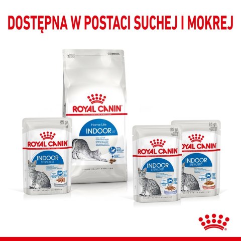 ROYAL CANIN FHN Indoor w galaretce - mokra karma dla kota dorosłego - 12x85g