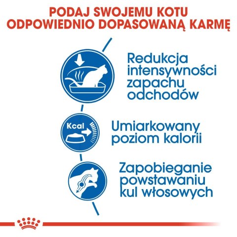 Royal Canin FHN Indoor - sucha karma dla kota dorosłego - 4kg