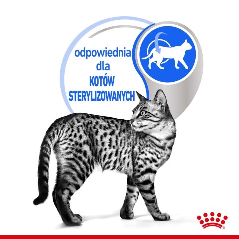 Royal Canin FHN Indoor w sosie - mokra karma dla kota dorosłego - 12x85g