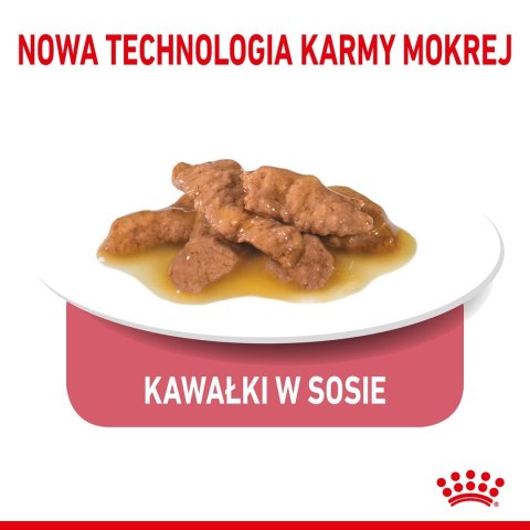 Royal Canin FHN Indoor w sosie - mokra karma dla kota dorosłego - 12x85g